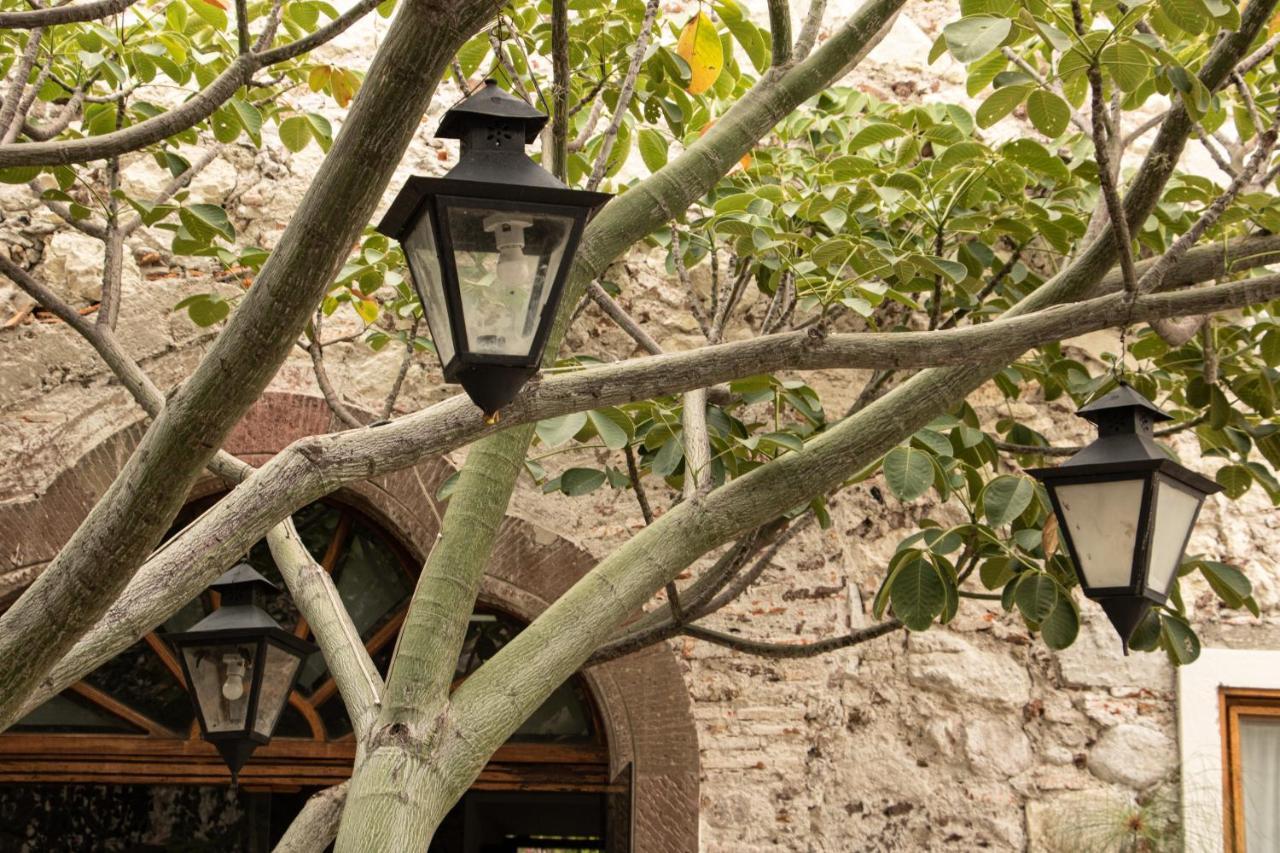 Orchid House San Miguel De Allende San Miguel de Allende Exterior foto