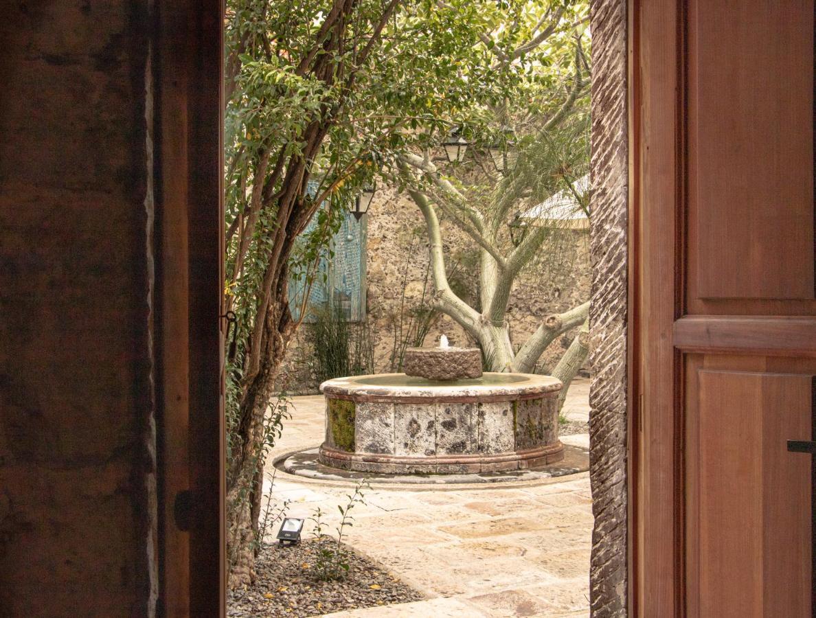 Orchid House San Miguel De Allende San Miguel de Allende Exterior foto