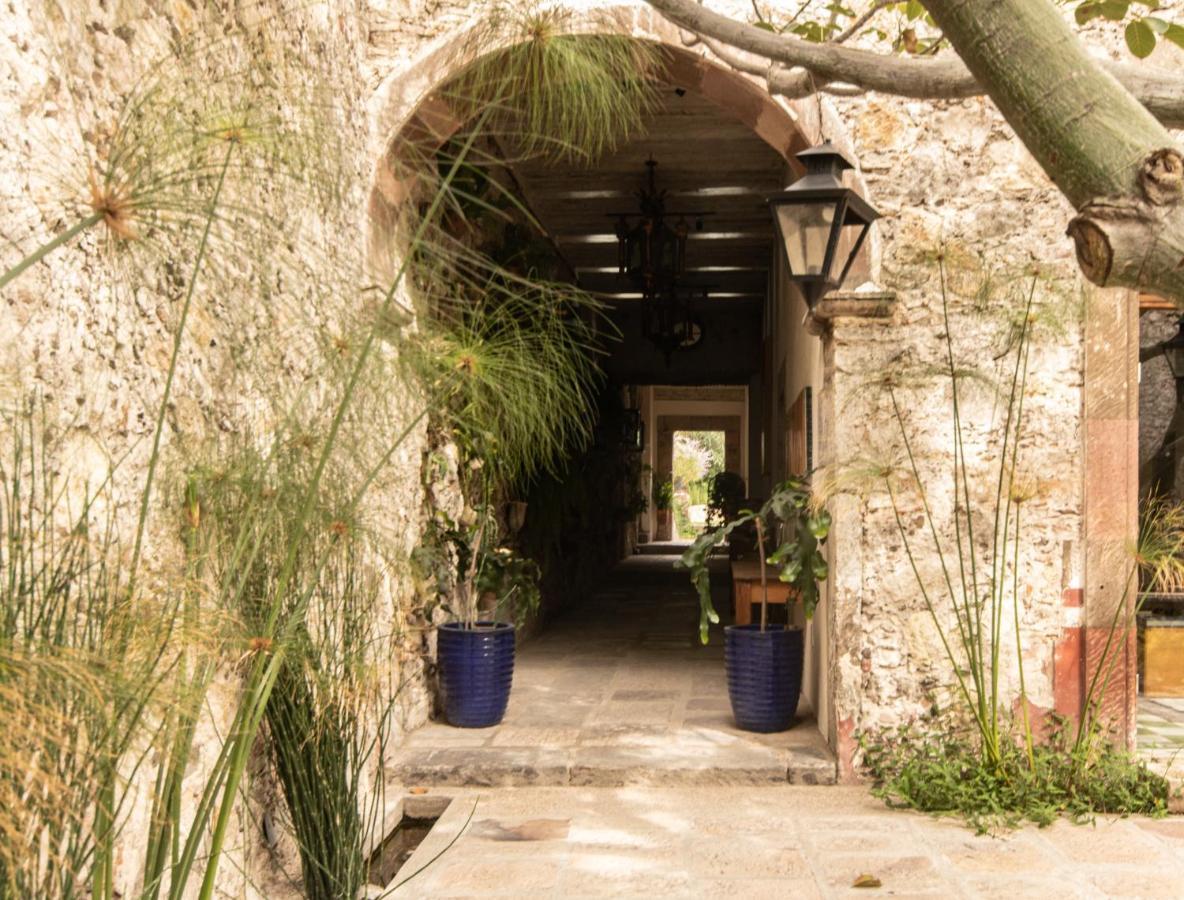 Orchid House San Miguel De Allende San Miguel de Allende Exterior foto