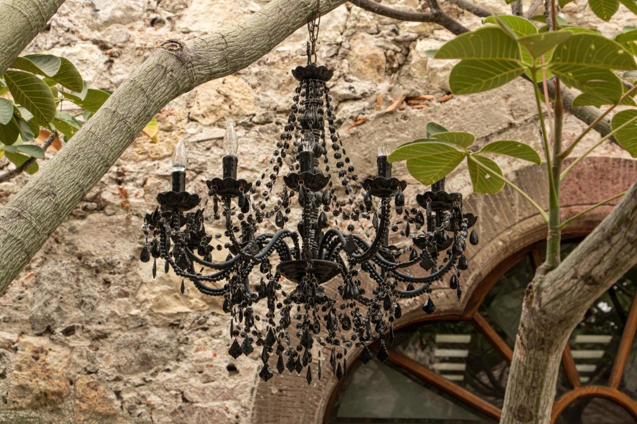Orchid House San Miguel De Allende San Miguel de Allende Exterior foto