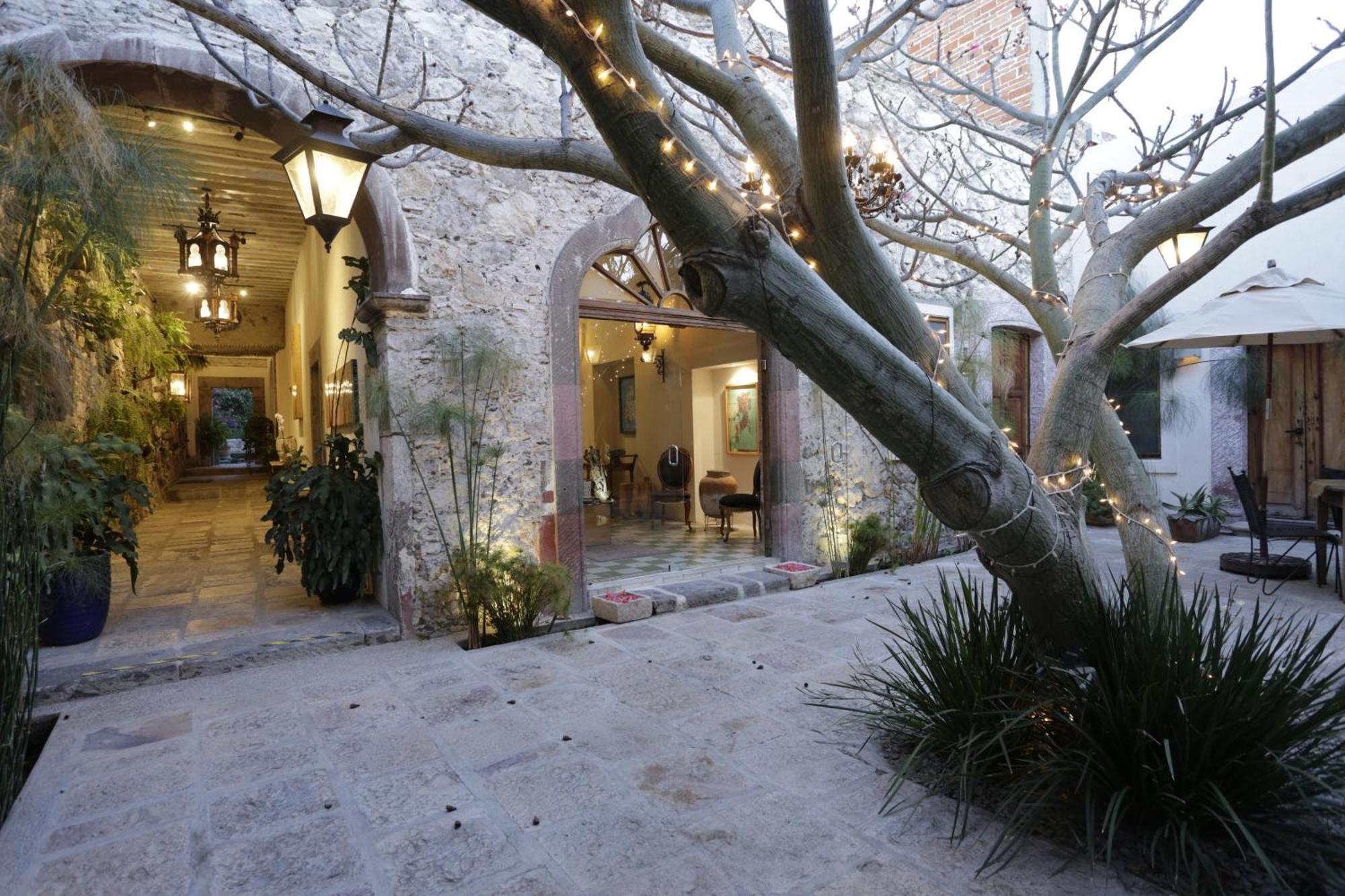 Orchid House San Miguel De Allende San Miguel de Allende Exterior foto