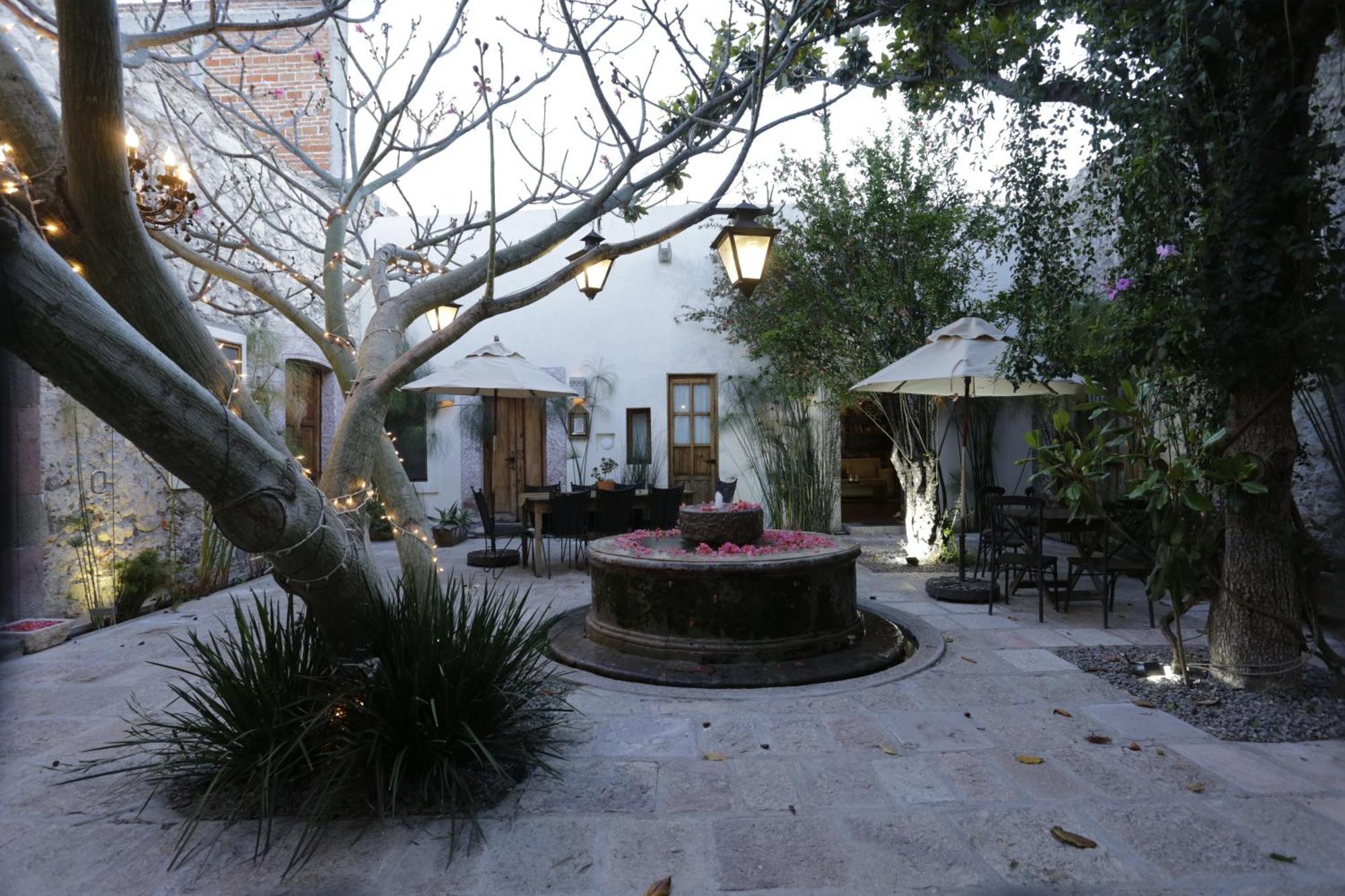 Orchid House San Miguel De Allende San Miguel de Allende Exterior foto