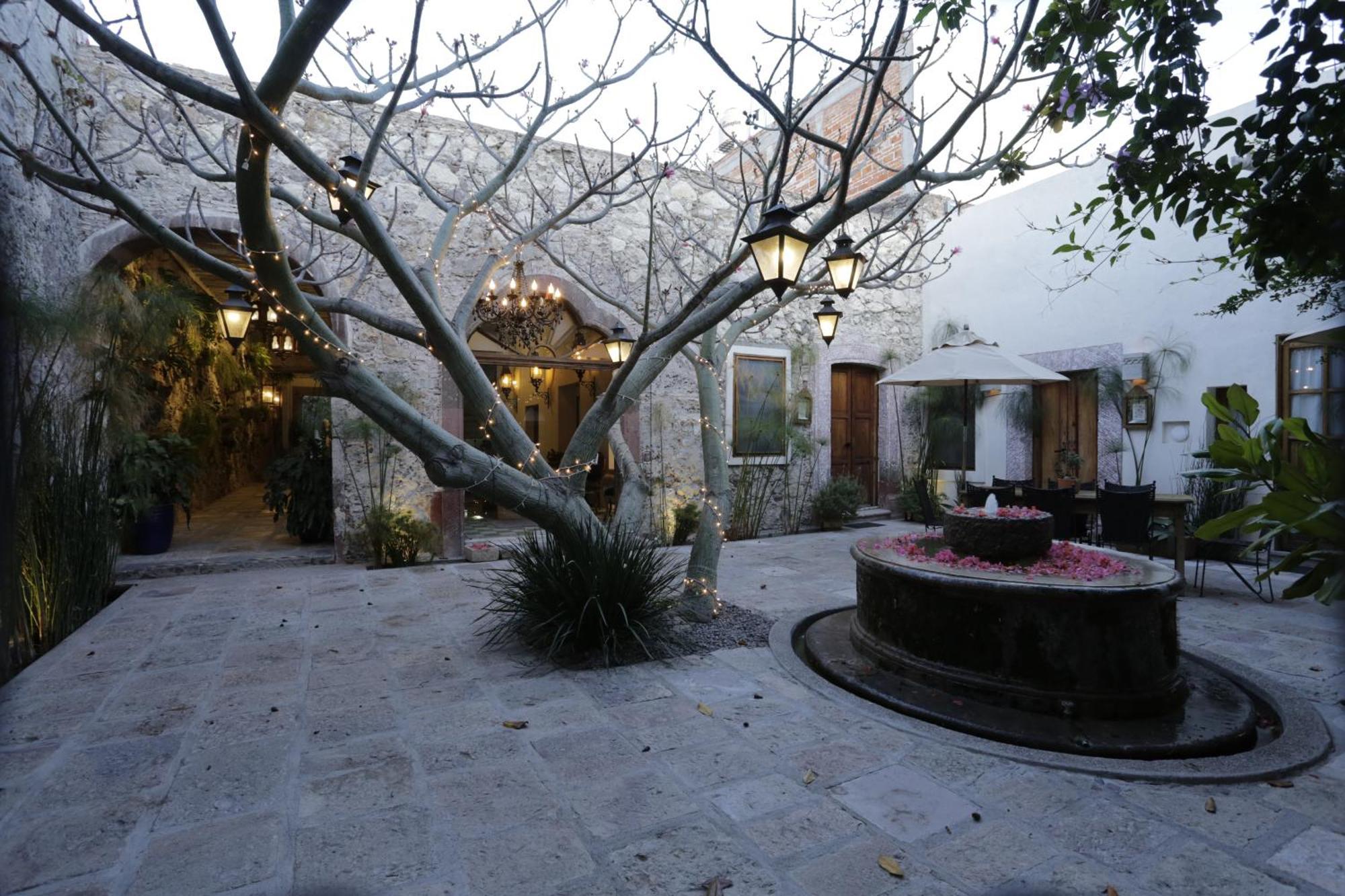 Orchid House San Miguel De Allende San Miguel de Allende Exterior foto