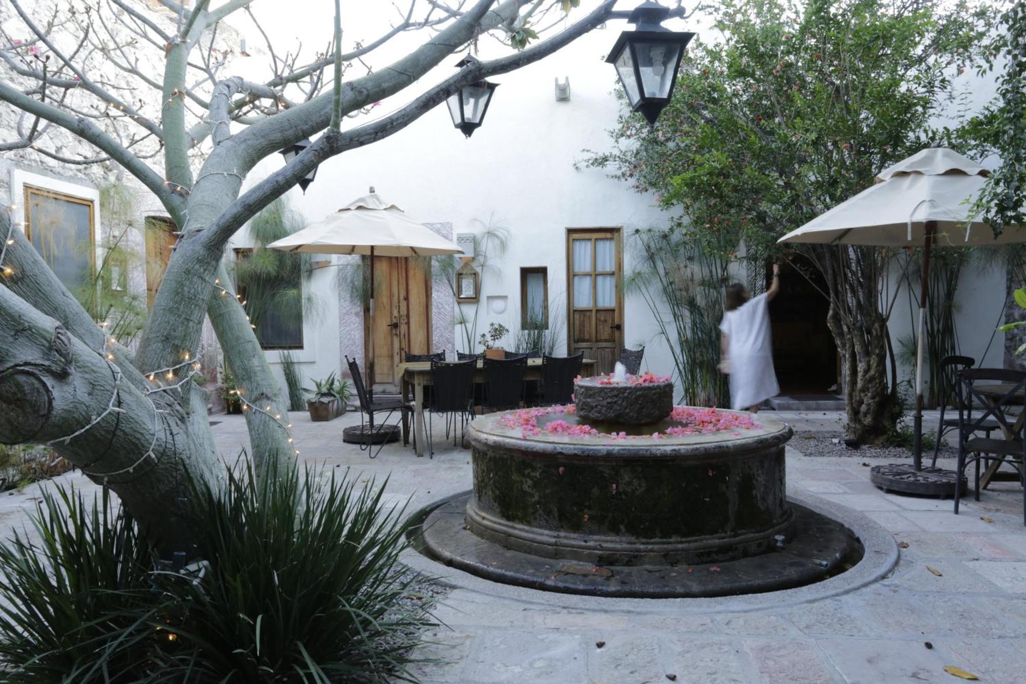 Orchid House San Miguel De Allende San Miguel de Allende Exterior foto
