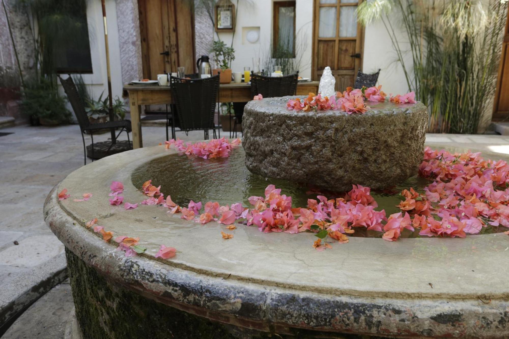 Orchid House San Miguel De Allende San Miguel de Allende Exterior foto