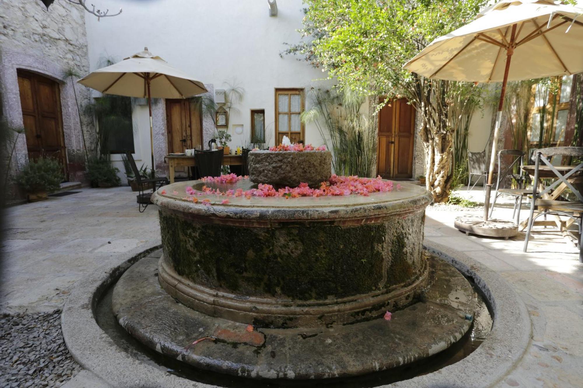 Orchid House San Miguel De Allende San Miguel de Allende Exterior foto