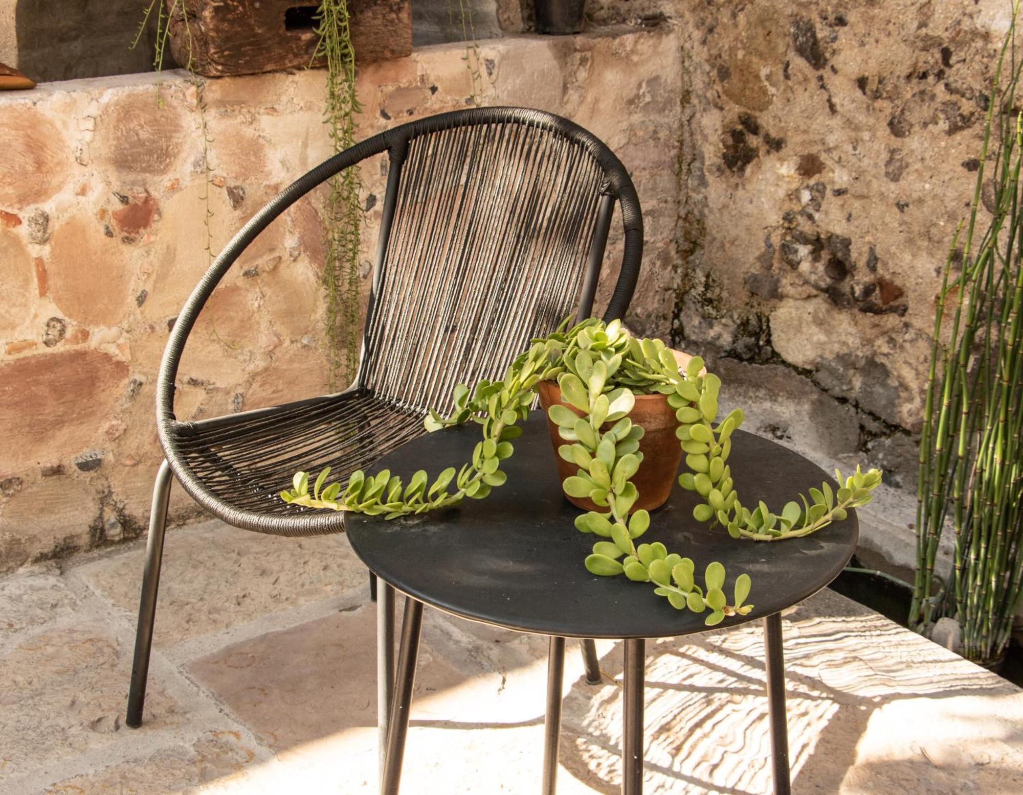 Orchid House San Miguel De Allende San Miguel de Allende Exterior foto