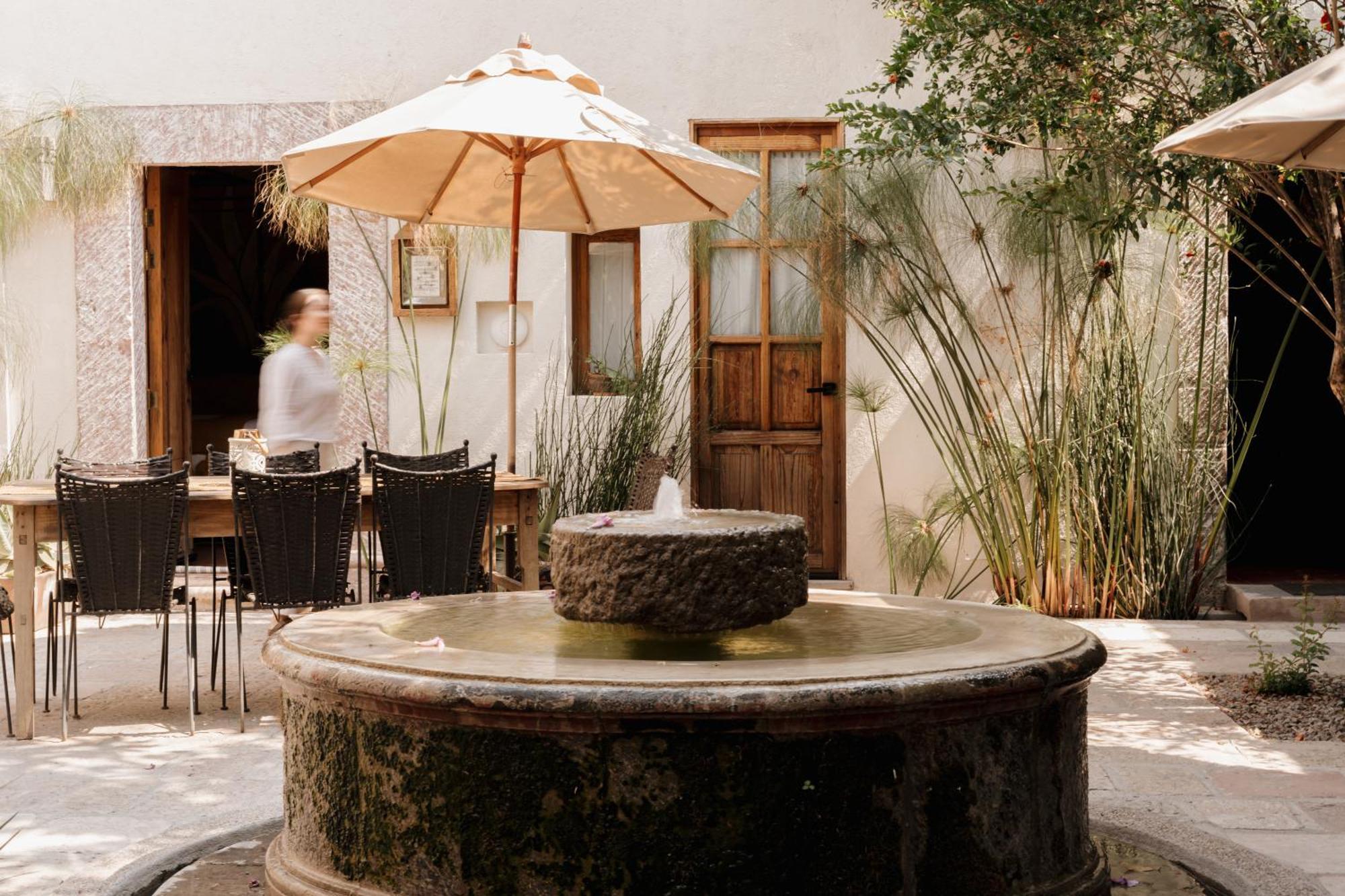 Orchid House San Miguel De Allende San Miguel de Allende Exterior foto